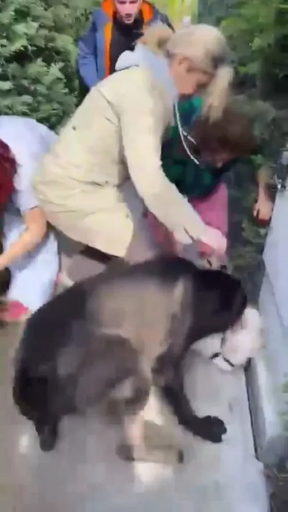 Banu Parlak’ın Köpeği Komşusunun Köpeğini Öldürdü