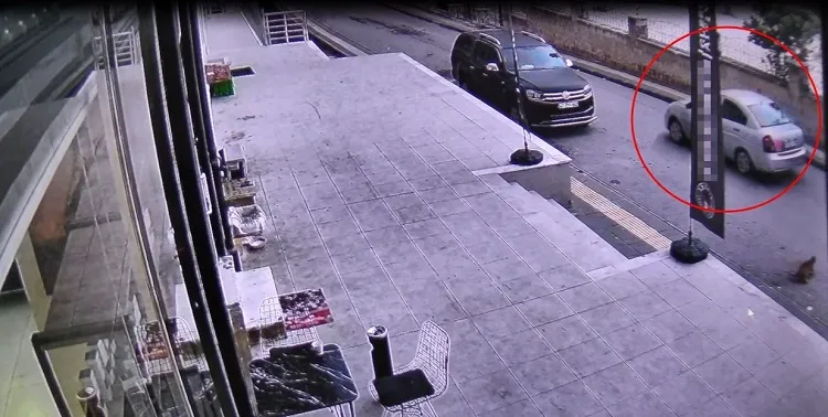 Sokak kedisini ezdi,ardına bakmadan yoluna devam etti