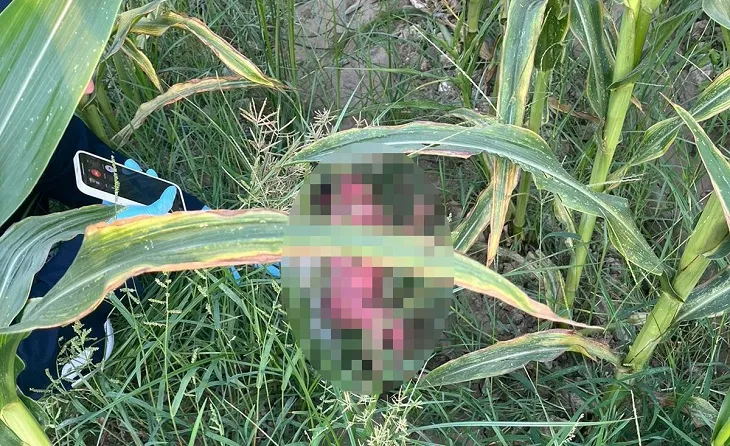 Tarlada bebek bulundu; 15 yaşında annesi cinsel istismara uğradığını söyledi