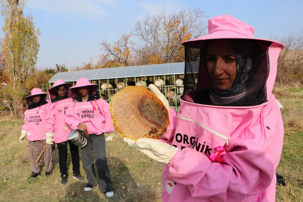 Pembe maskeli arıcı kadınlar, bal hasadında 