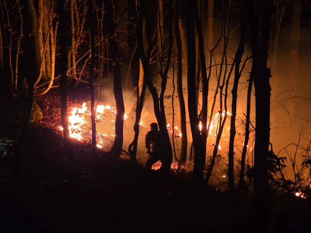 Ordu’da örtü yangını, ormana sıçradı