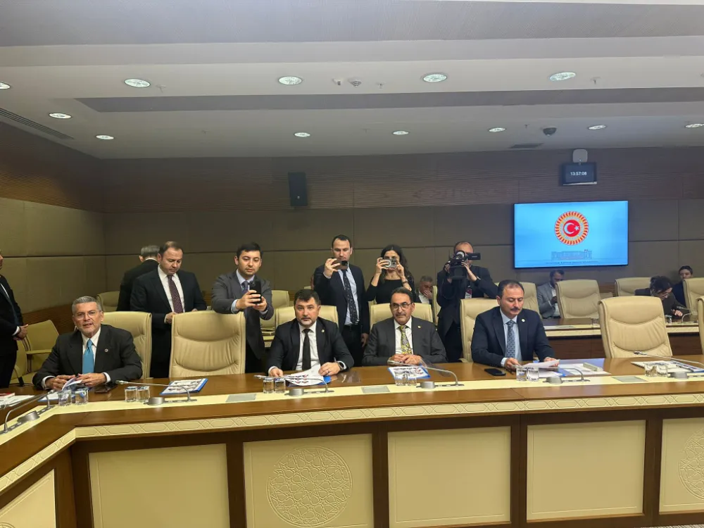 Zira Don Araştırma Komisyonu Başkanlığı