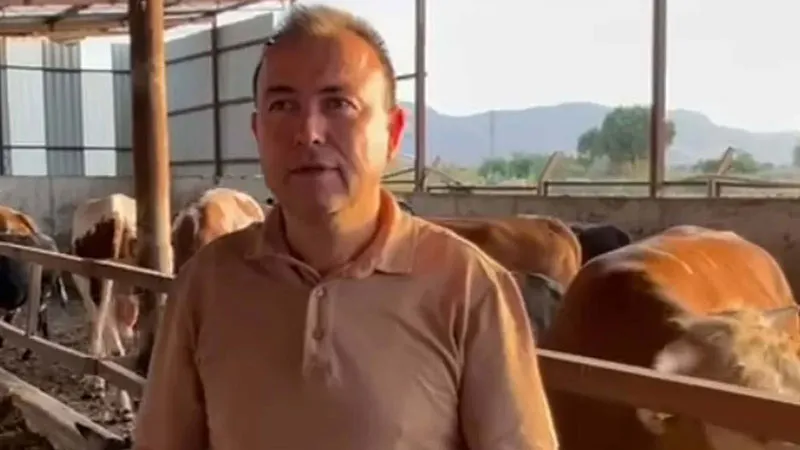 Dananın saldırısına uğrayan iş insanı, 3 gün sonra öldü
