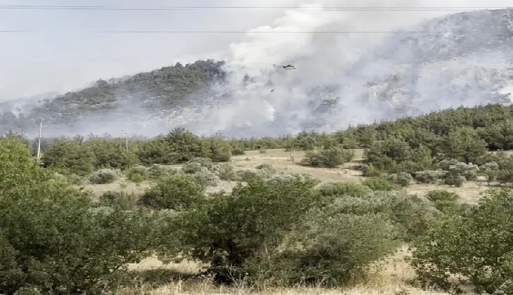 Bilecik’te orman yangını
