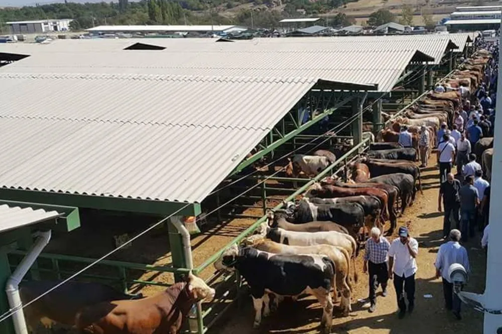 Malatya’da Hayvan Pazarı Geçici Süreyle Kapatıldı