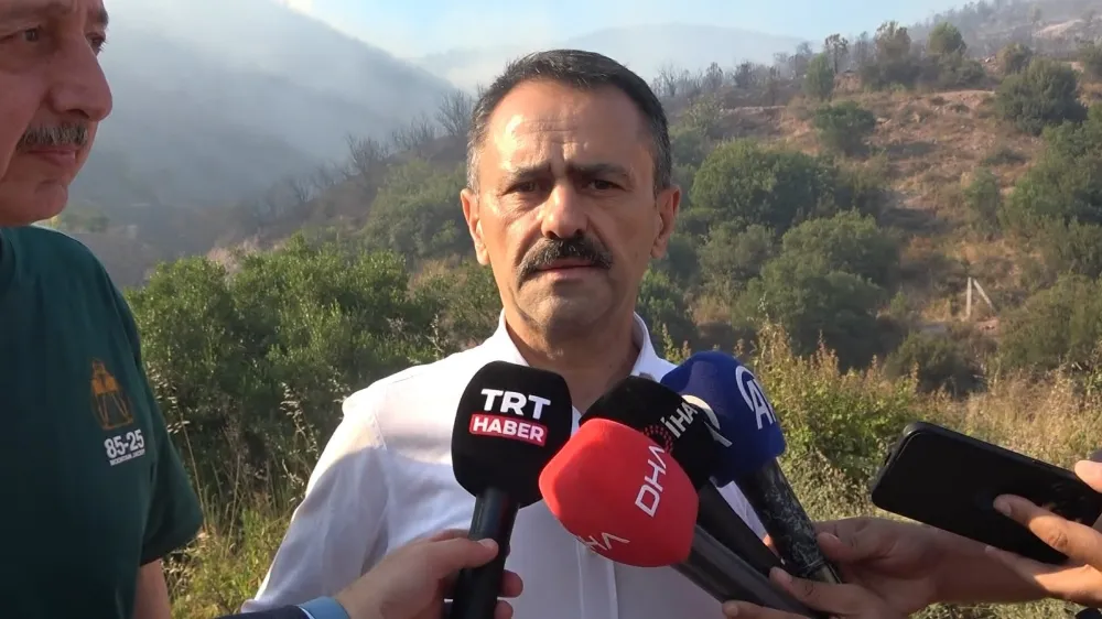 Vali Aktaş : Yangın yerleşim yerlerine siyaret etmeden durduruldu