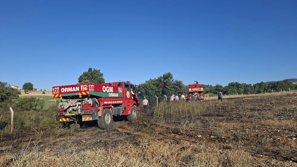 Kütahya’da arazi yangını; 7 dekar alan zarar gördü