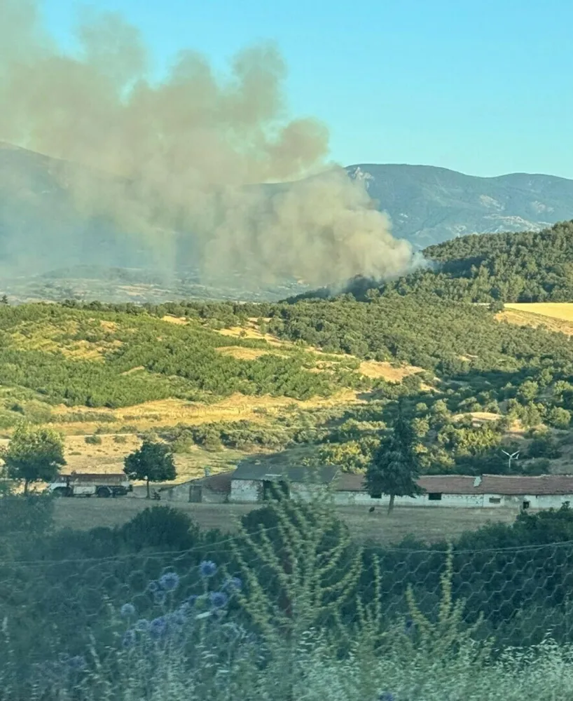 Çanakkale’de orman yangınında kapanan köy yolları ulaşıma açıldı