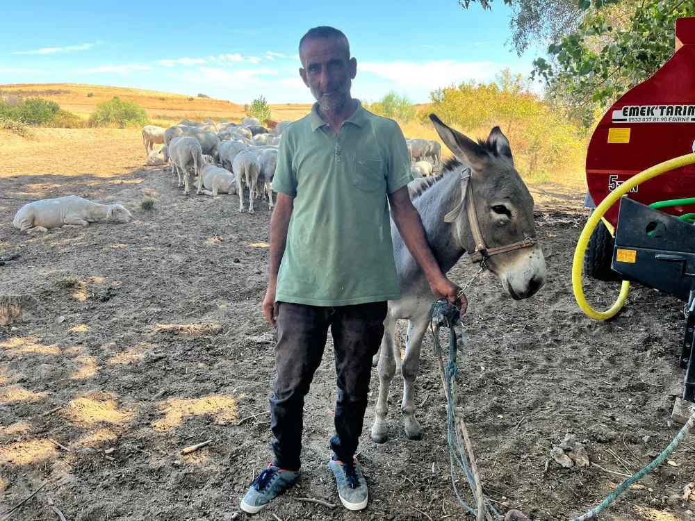 Edirne’de otogarın maskotu ‘Kadife’, sahibine kavuştu