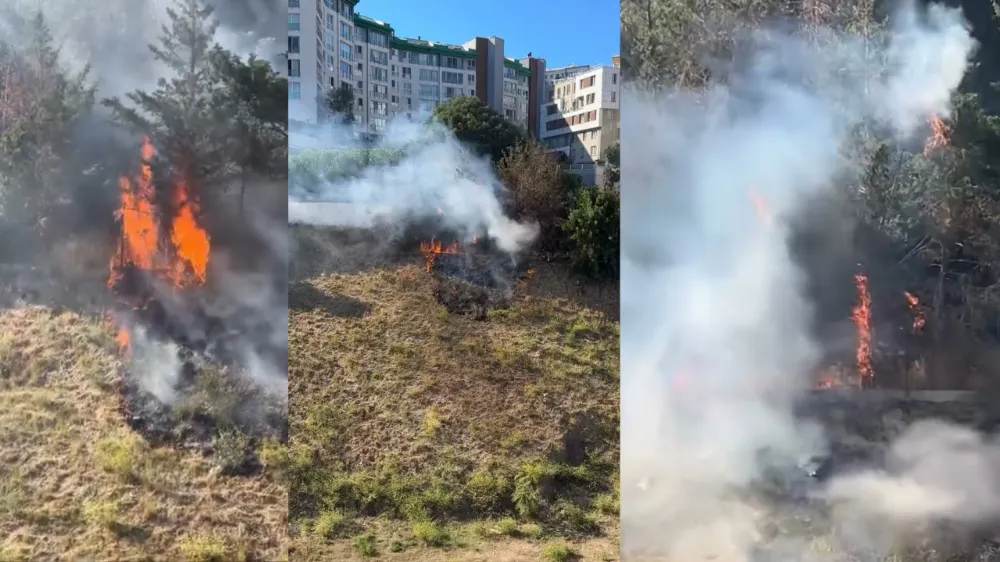  Kağıthane’de ağaçlık alan alev alev yandı