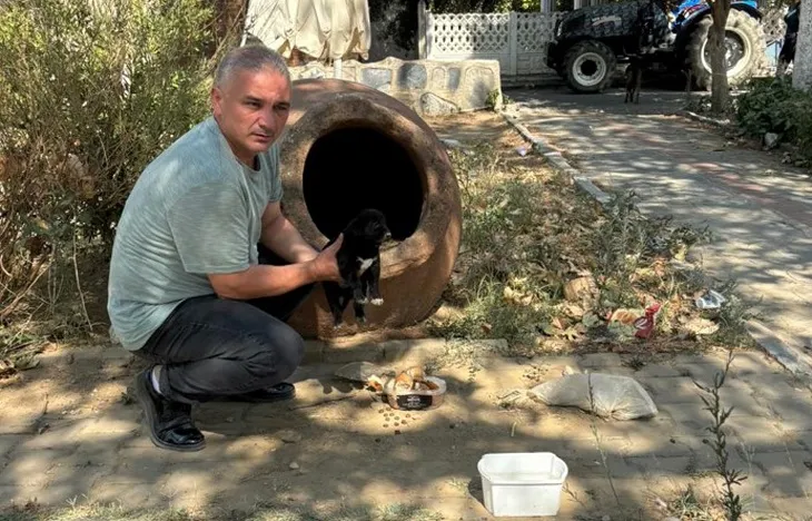 10 köpek ile 5 kedinin öldüğü olayda, zehirli etler çocuklara dağıttırılmış 